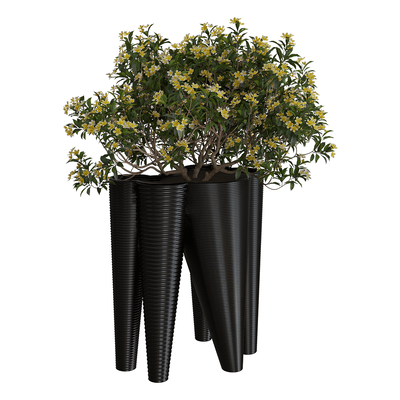 Serralunga The Vases塑料装饰花盆中的植物3D模型（OBJ,FBX,MAX）