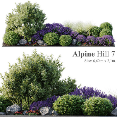 包含薰衣草花丛 岩石 球形灌木植物的花园组合景观 花坛3D模型（FBX,MAX）