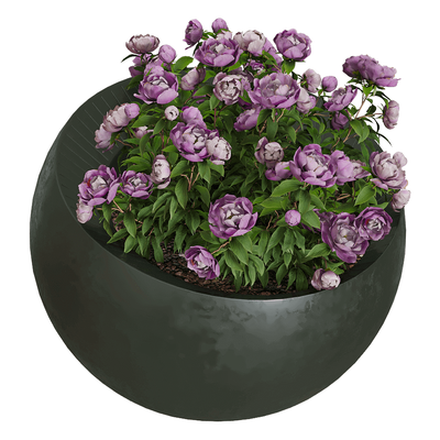 Serralunga Uovo di Colombo圆形花坛中的植物花丛3D模型（OBJ,FBX,MAX）