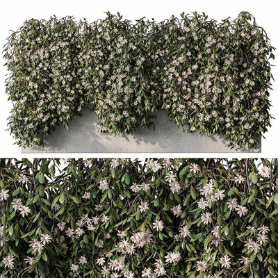石墙上开满花朵的爬藤植物3D模型（OBJ,MAX）