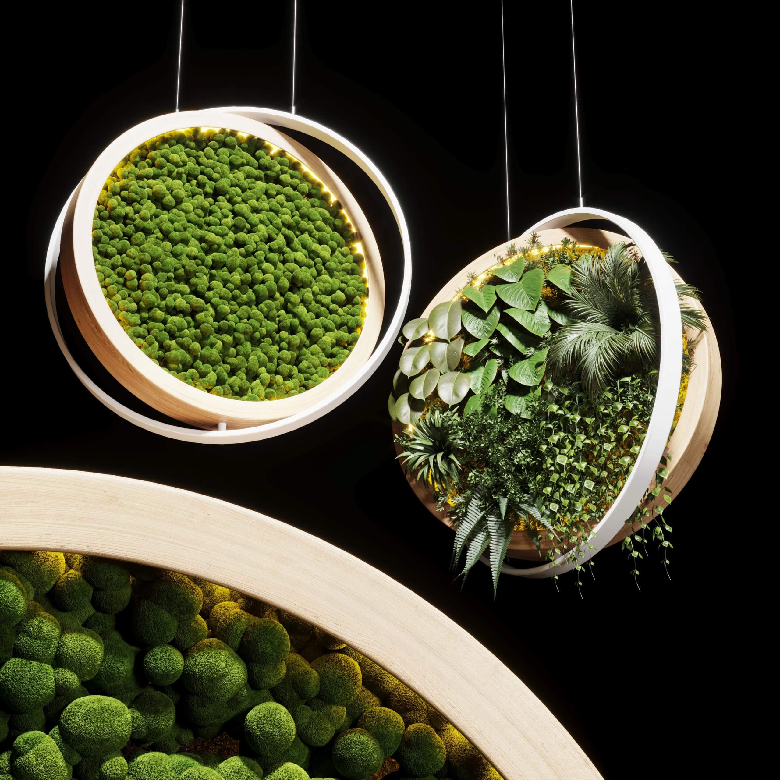 苔藓植物吊篮3D模型（OBJ,MAX）