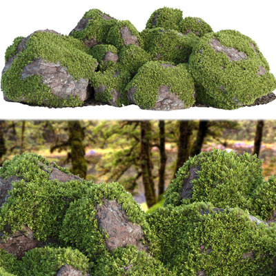 长满苔藓植物的岩石 花园景观3D模型（FBX,MAX）