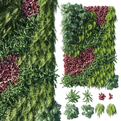 包含蕨类植物 竹芋的绿植墙3D模型（OBJ,MAX）