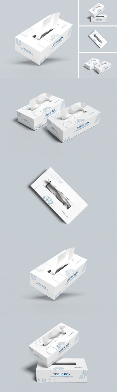 纸巾盒样机 (PSD,PDF)