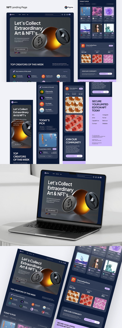 NFT 着陆页面 (FIG)