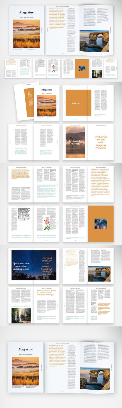 包含采访和有趣文章的小册子 (INDD)