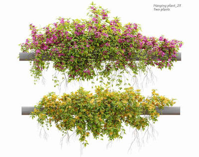开花的藤蔓植物3D模型（FBX,MAX）