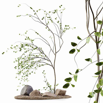 室内绿植装饰 植物枝条3D模型（OBJ,FBX,MAX）