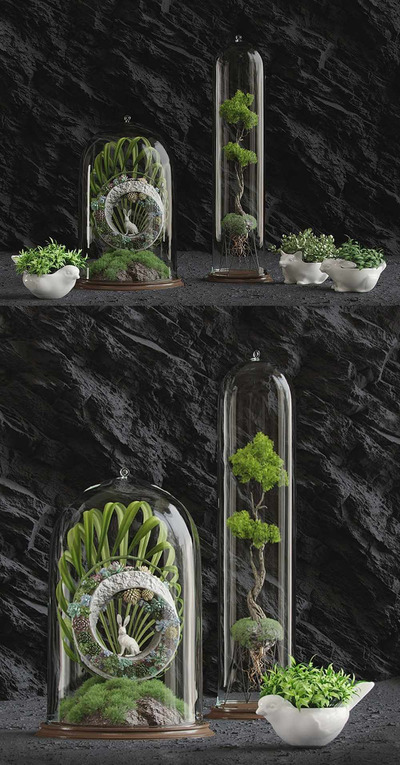 包含多肉植物 苔藓 杜松叶的植物盆景3D模型（OBJ,MAX）