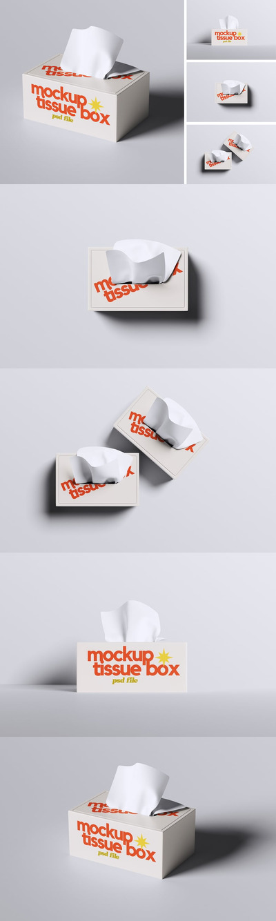纸巾盒样机 (PSD,PDF)
