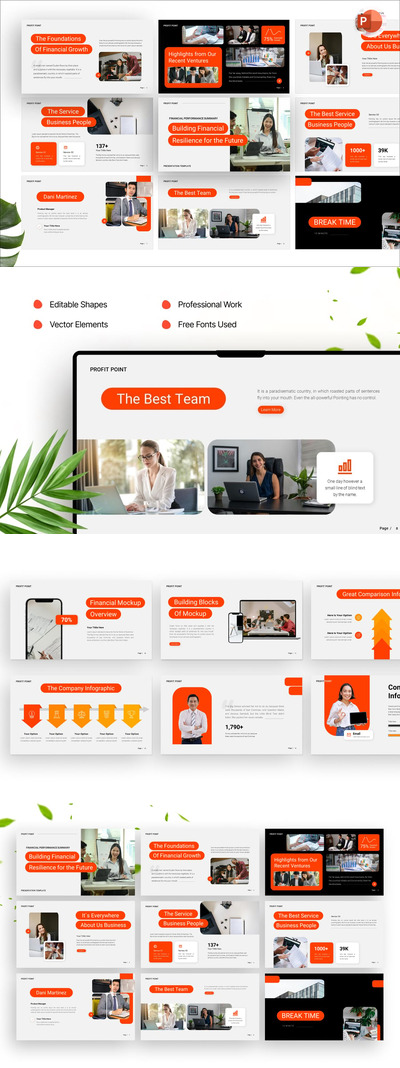 财务业绩摘要演示PPT模板 (PPTX)