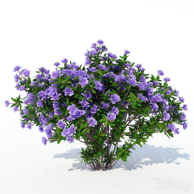 杜鹃花花丛 植物灌木3D模型（FBX,MAX）