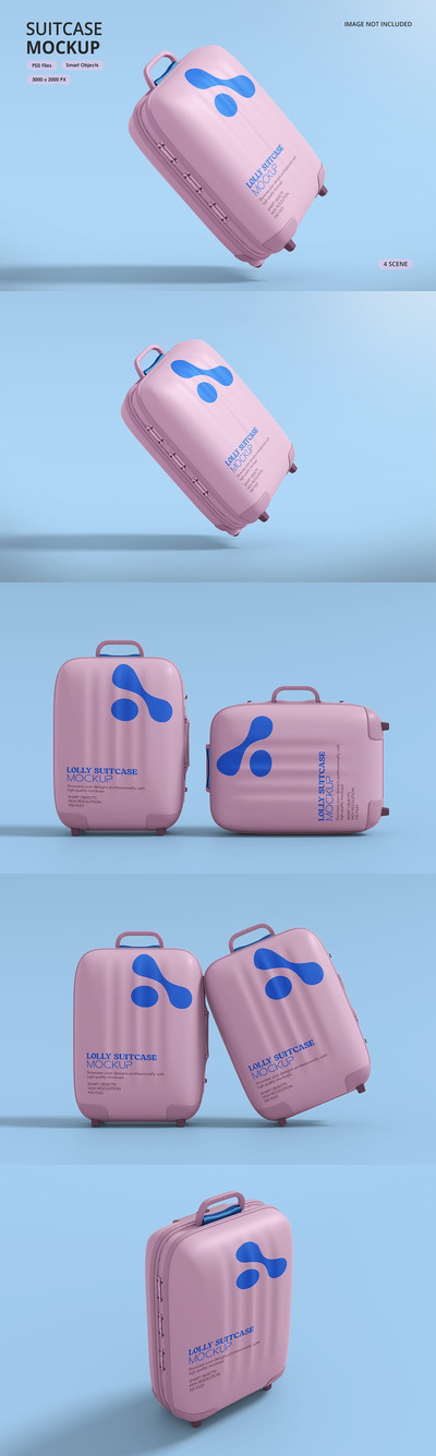 手提箱样机 (PSD)