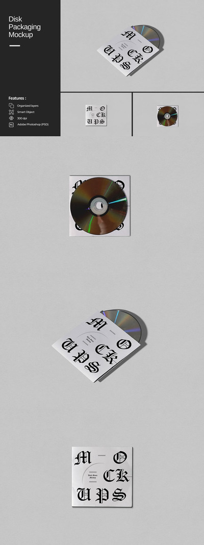 磁盘包装样机 (PSD)