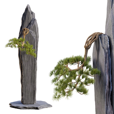 石板上的松树盆景3D模型（OBJ,FBX）