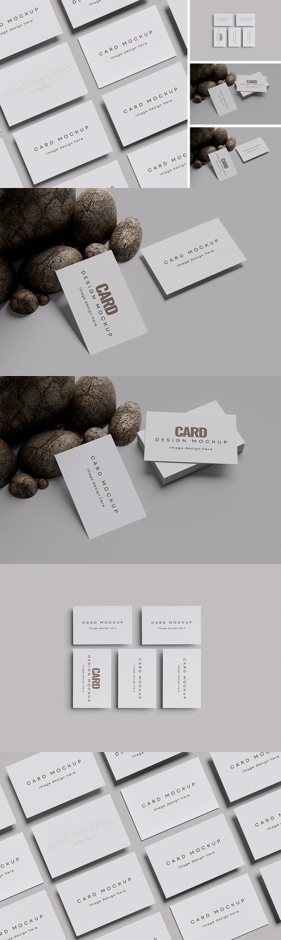 名片样机 (PSD,PDF)