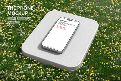 电话模型样机 (PSD)