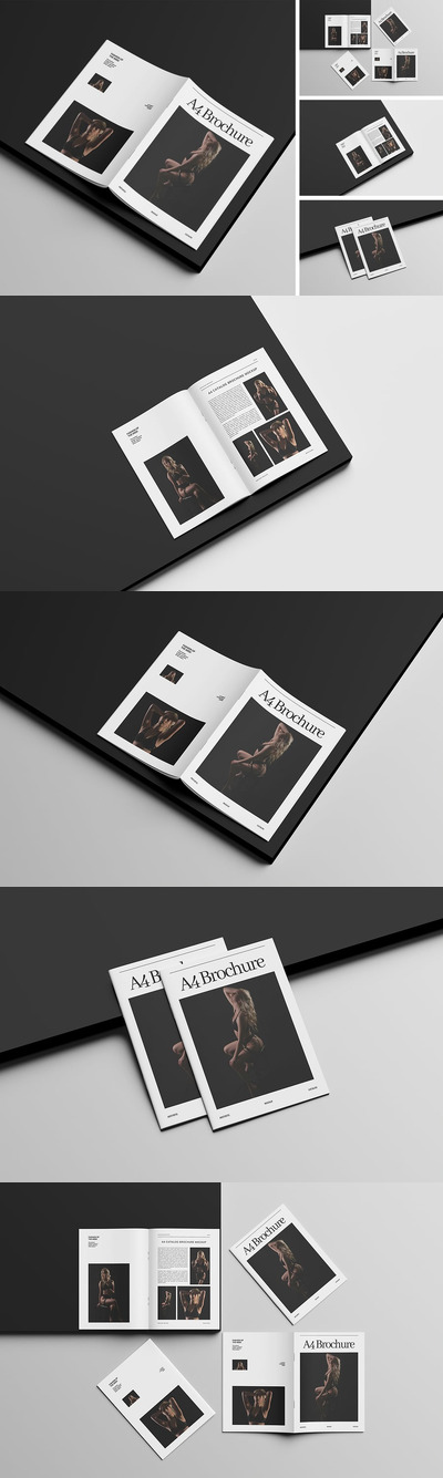 小册子目录模型样机 (PSD,PDF)