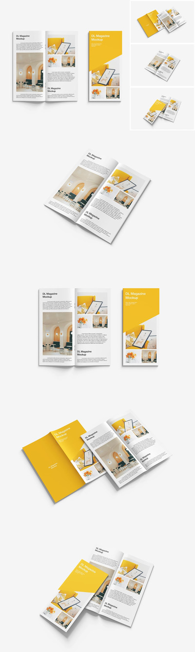 DL杂志模型样机 (PSD)