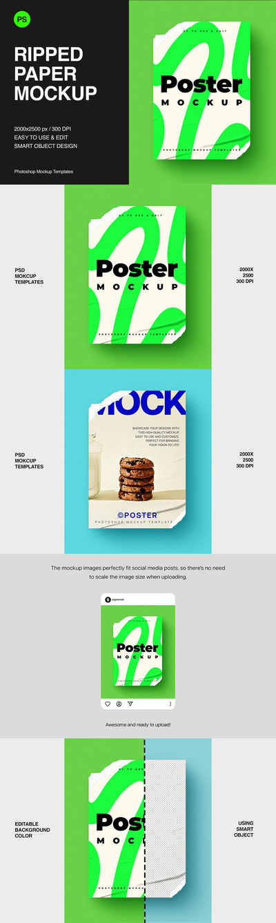 撕裂的纸模型样机 (PSD)