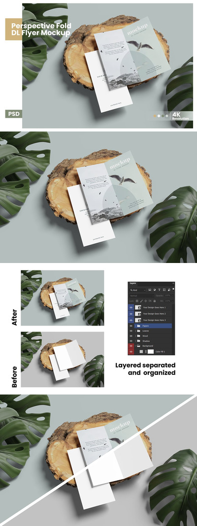 透视折叠DL传单模型样机 (PSD)