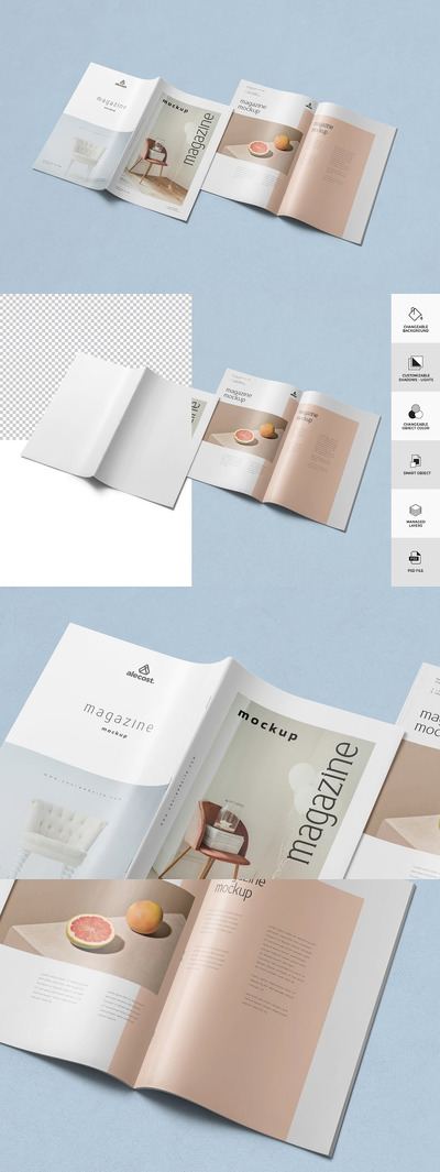 杂志模型样机 (PSD)