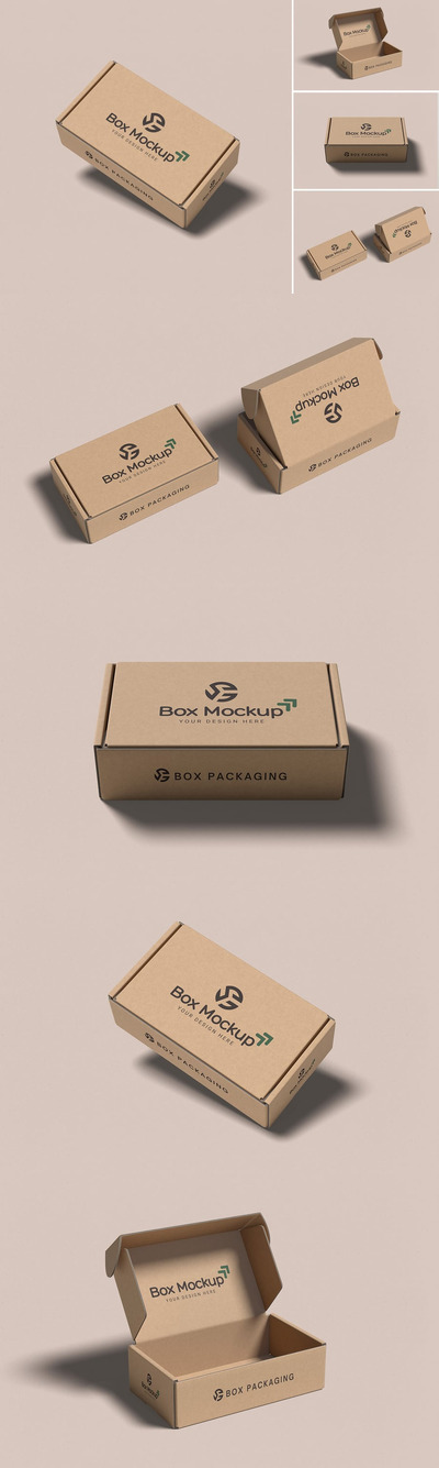 包装模型样机 (PSD,PDF)