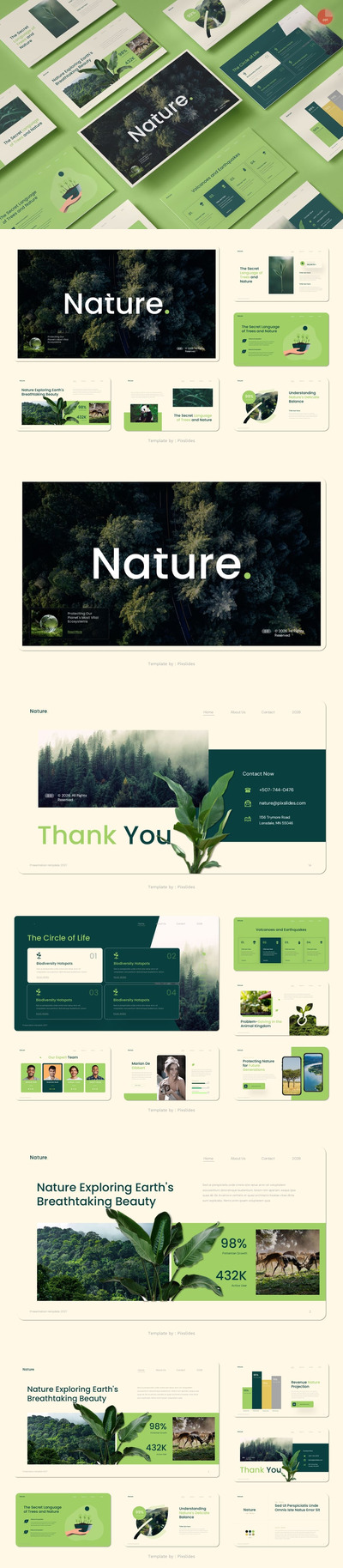 自然生态系统PPT模板 (PPTX)