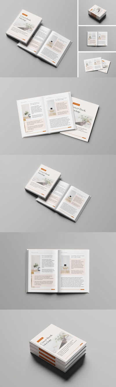 书模型样机 (PSD,PDF)