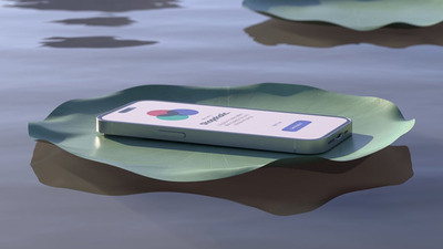 荷叶浮萍上的AE电话屏幕模型样机 (AEP)