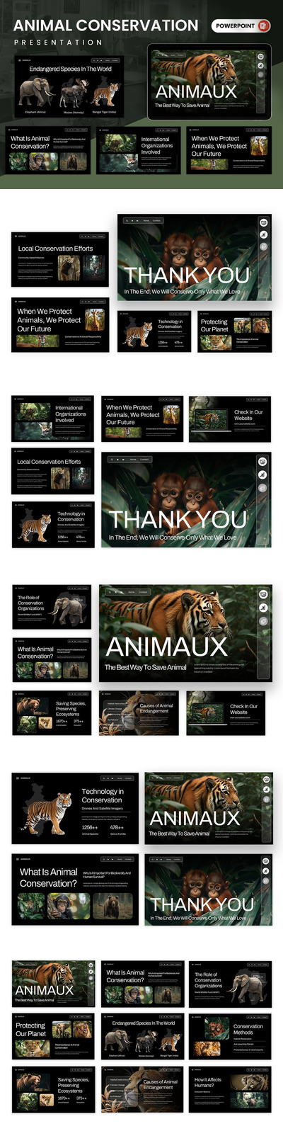 动物保护PPT模板 (PPTX)