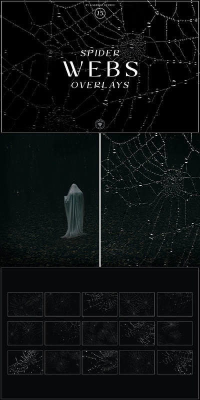 蜘蛛网透明底纹理 (PNG)