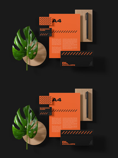 固定品牌模型样机 (PSD)