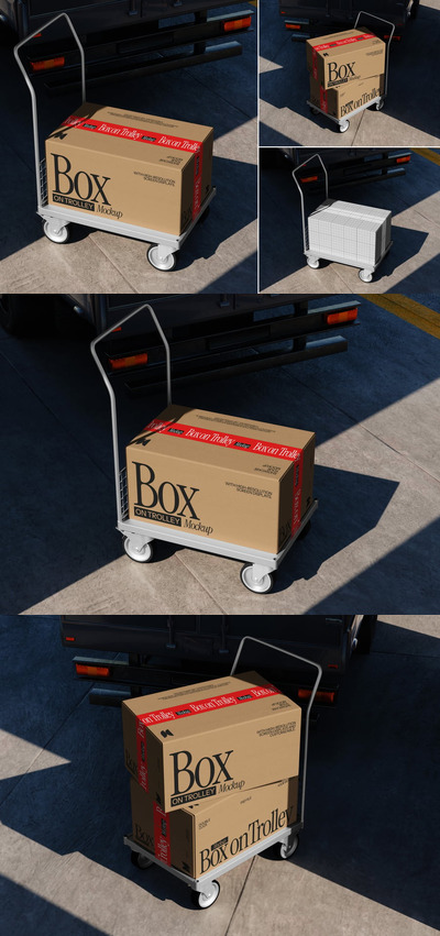纸板箱模型样机 (PSD)