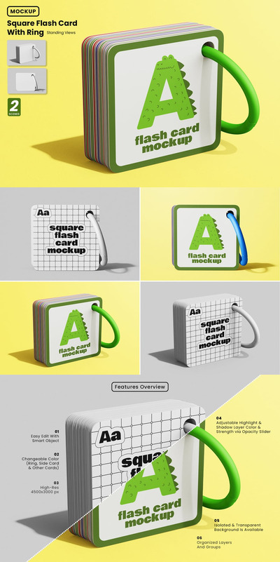 带环模型集的圆形方形闪存卡样机 (PSD)