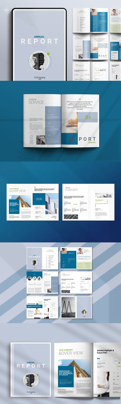 年度报告手册画册模板 (INDD)