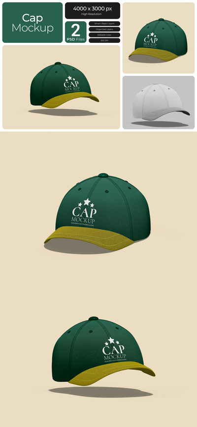 帽模型样机 (PSD)