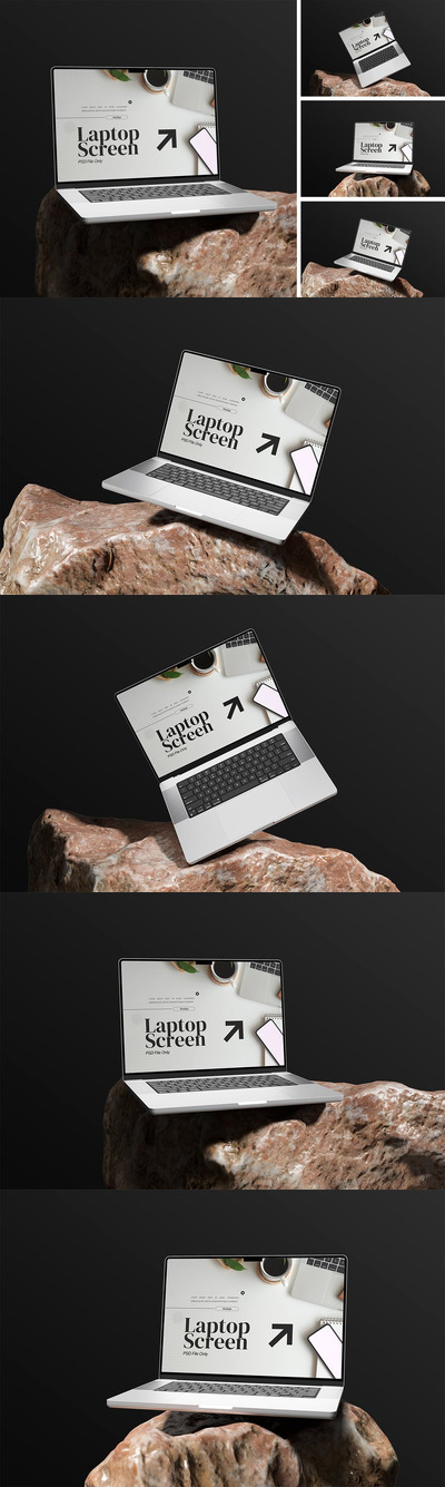 屏幕笔记本电脑模型样机 (PSD,PDF)