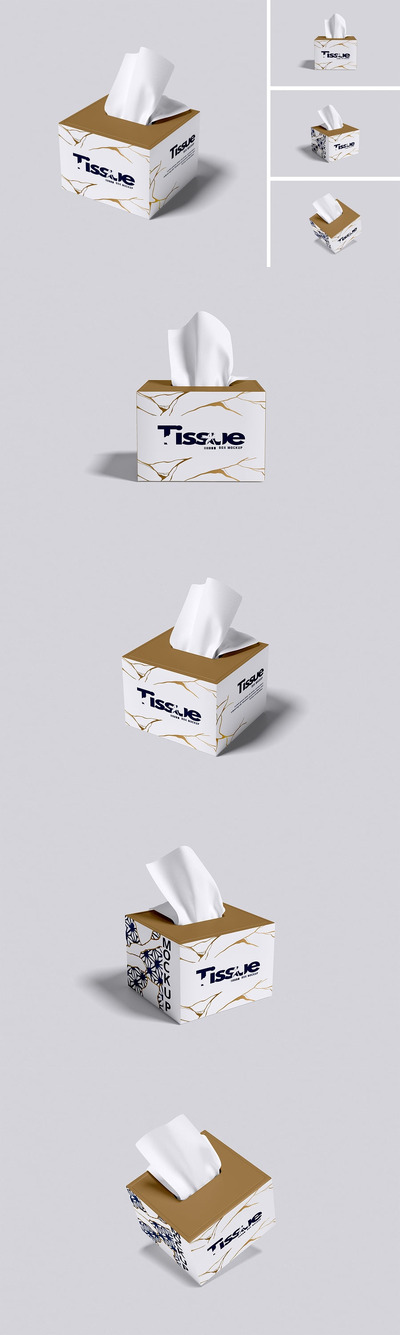 纸巾盒模型样机 (PDF,PSD)
