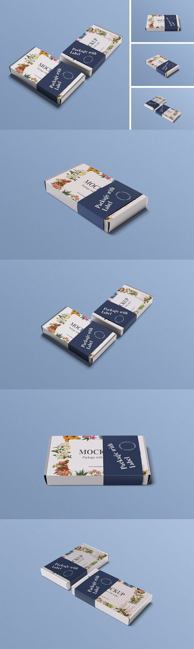 标签模型的盒装包装样机 (PSD,PDF)