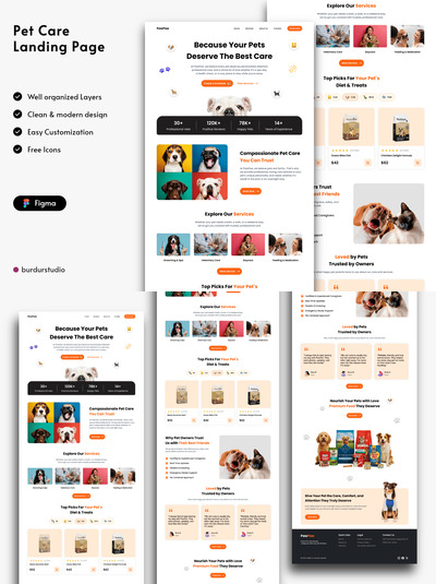 宠物护理登陆页面