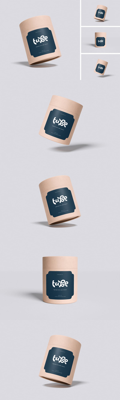 带标签模型的管盒