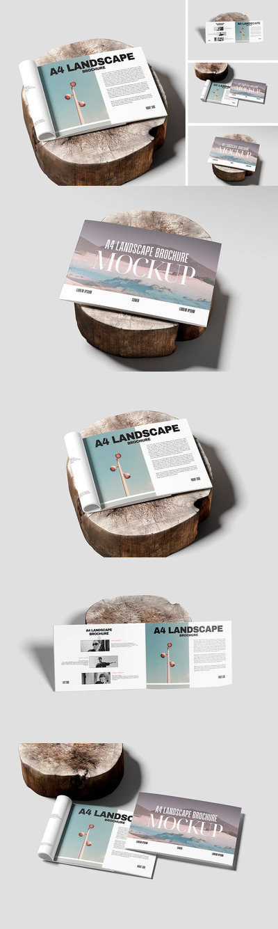 景观宣传册模型