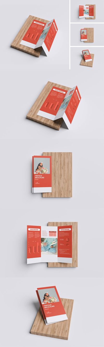 三折小册子模型