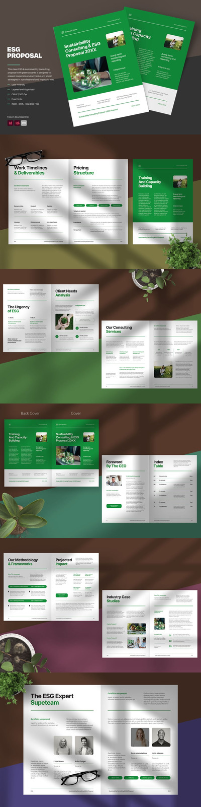 清洁ESG和可持续性咨询提案