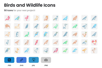 鸟类和野生动物图标