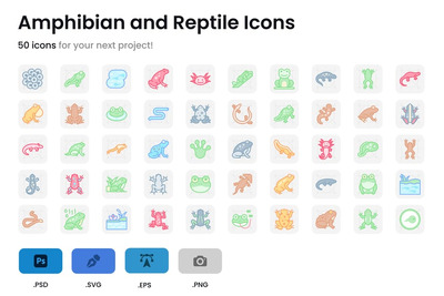 两栖动物和爬行动物图标