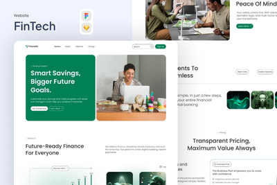 Paynetic – 金融科技网站