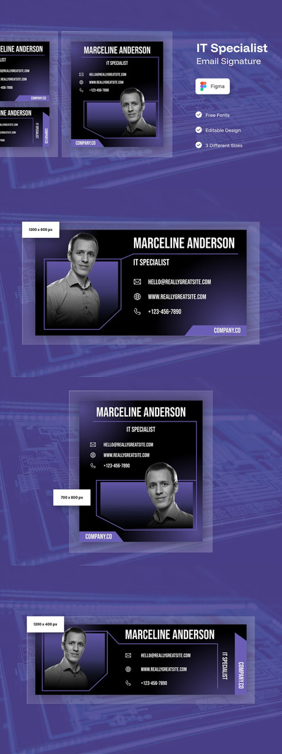 IT专家电子邮件签名