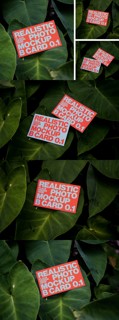 高质量名片样机